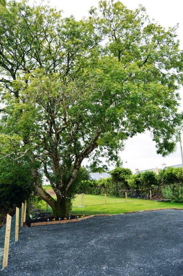 Ash Tree Cottage Bangor Exterior photo